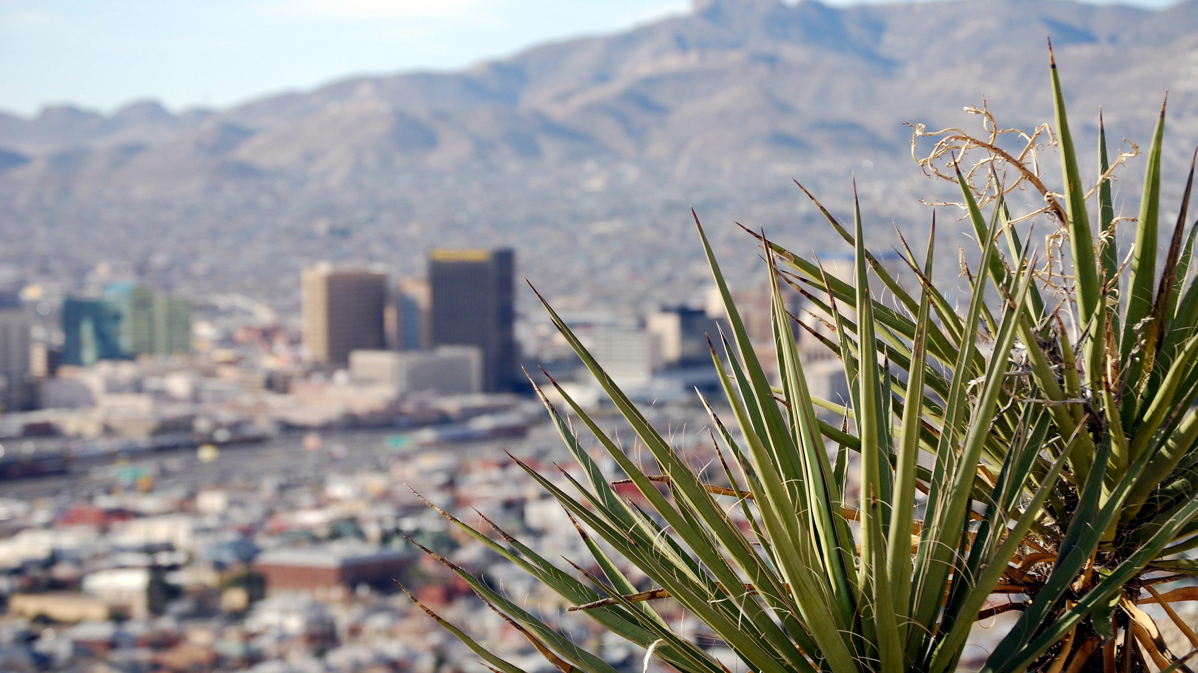 Hotel Indigo El Paso Downtown By Ihg Eksteriør billede